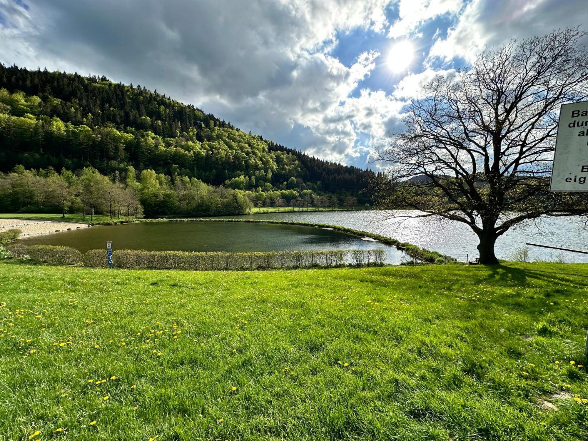 Fuchsbau Winterberg Lägenhet Exteriör bild
